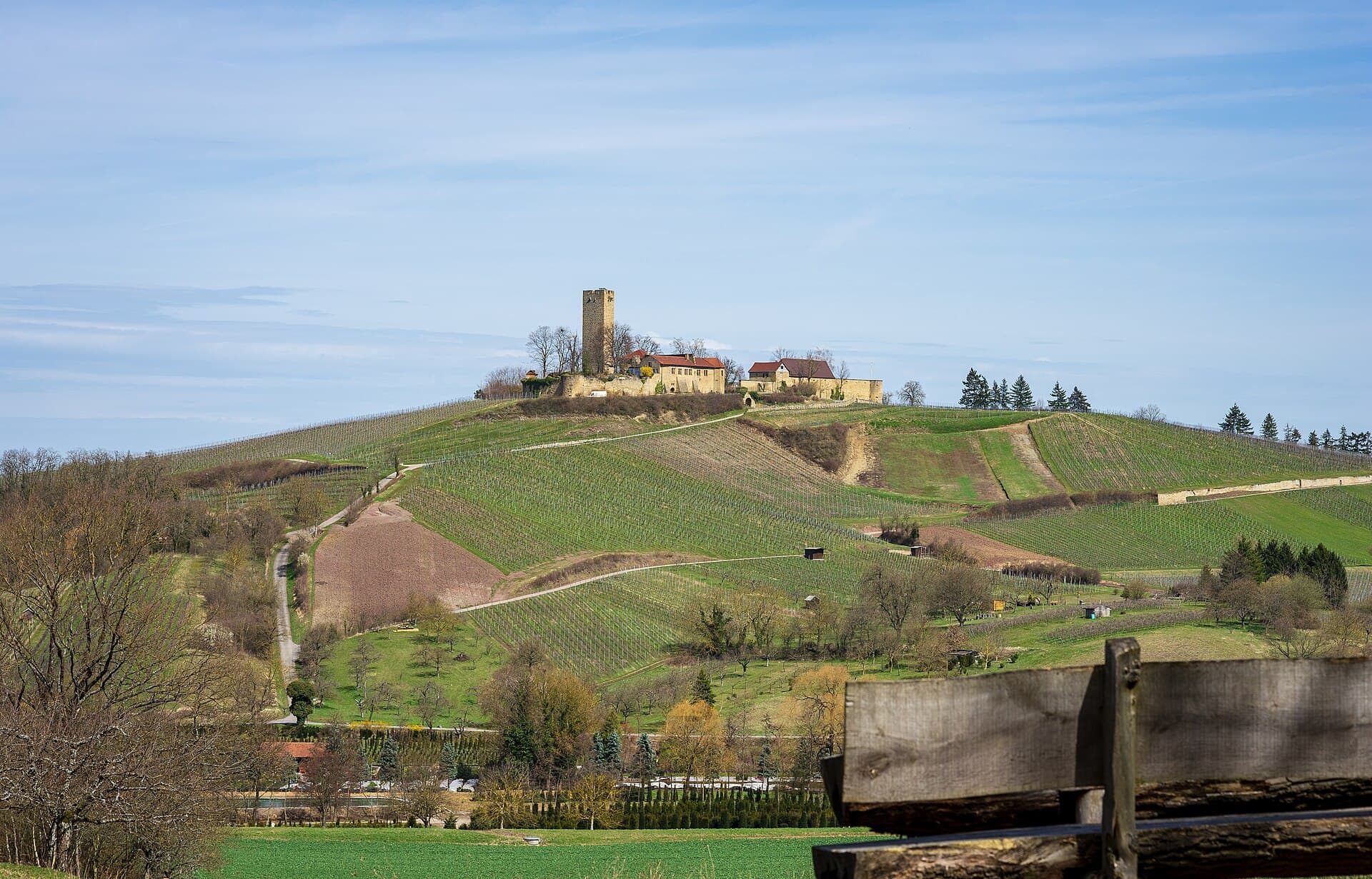 Die Ravensburg von Südwesten: Bergfried, Burggebäude und Mauern auf der Kuppe über Rebhängen und Feldwegen bei Sulzfeld