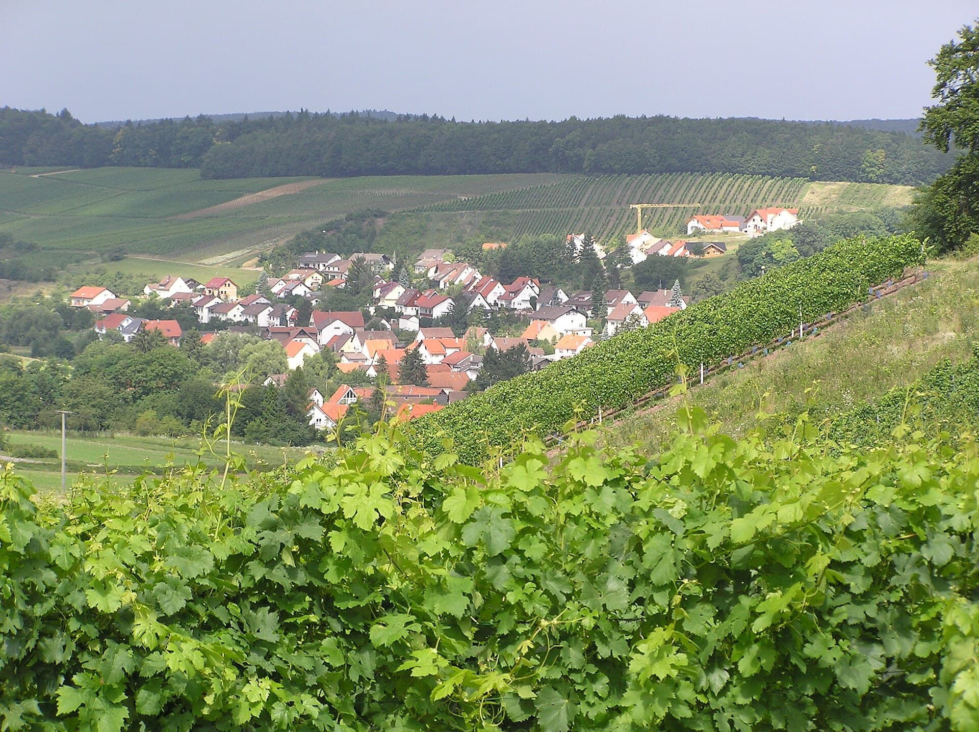 Blick vom Kreuzberg über Weinreben auf die Häuser von Tiefenbach im Katzbachtal, dahinter Rebhänge und ein bewaldeter Höhenrücken