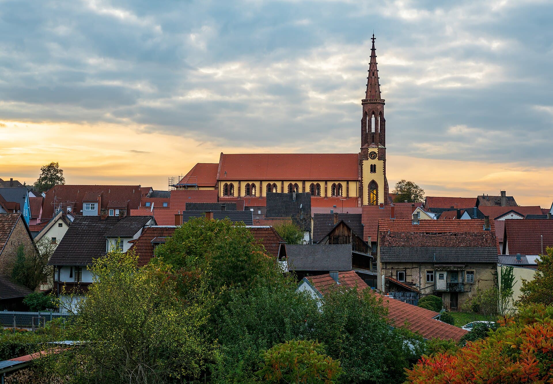 Blick über Ziegeldächer und herbstliche Gärten der Waibstadter Altstadt auf die Stadtpfarrkirche mit hohem, spitzem Turm aus rotem Sandstein vor Abendhimmel