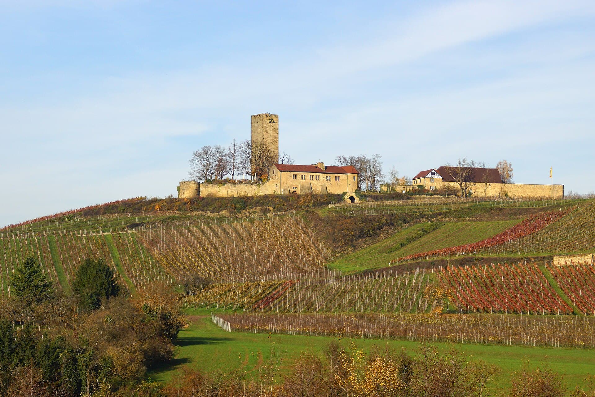 Die Burg Ravensburg bei Sulzfeld auf einer Kuppe über herbstlich rot und gelb gefärbten Weinbergen, davor eine grüne Wiese