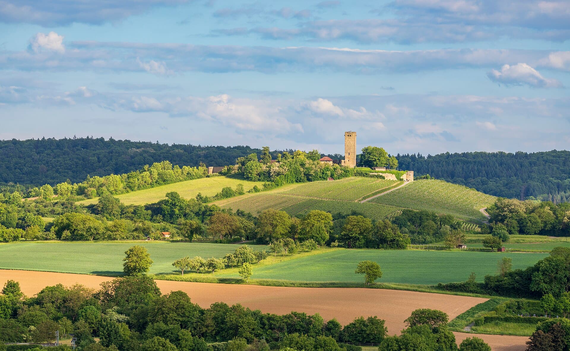 Rebhänge am Burgberg der Ravensburg bei Sulzfeld im Abendlicht, oben Bergfried und Burgmauern, davor Felder und Hecken, dahinter bewaldete Höhen